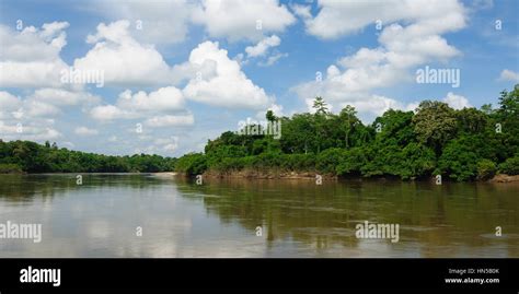 La Révolte de la Rivière Mahakam : Une Explosion Sociale face aux Innovations Commerciales du 1er Siècle après J.-C.